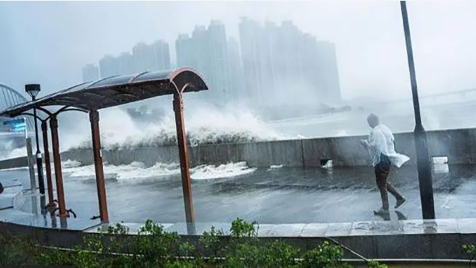 টাইফুন রাগাসাকে এ বছরের সবচেয়ে শক্তিশালী ঝড় হিসেবে বিবেচনা করা হচ্ছে।